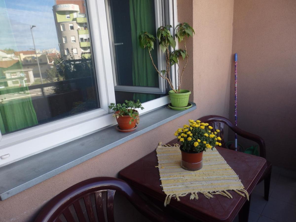 Apartment Erika 2 Novi Sad Exteriör bild