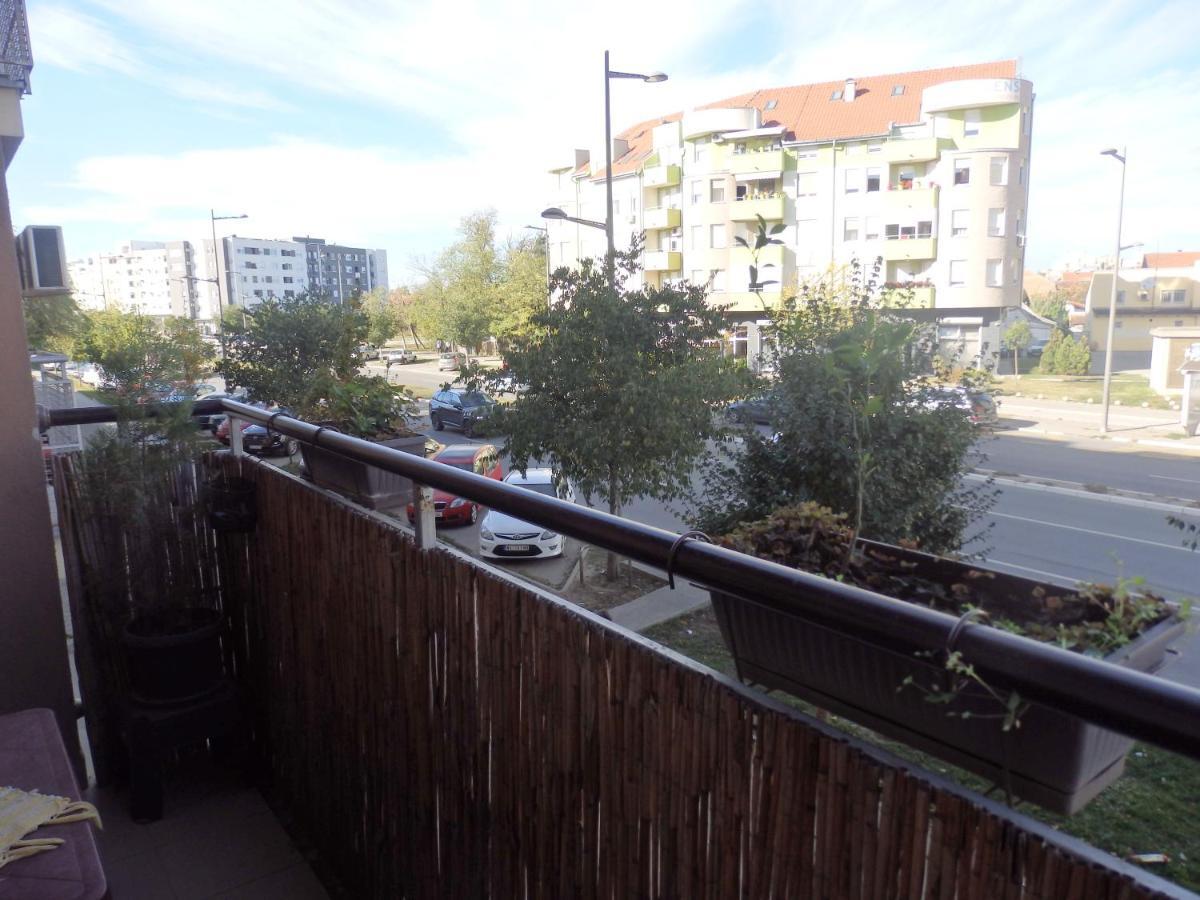 Apartment Erika 2 Novi Sad Exteriör bild