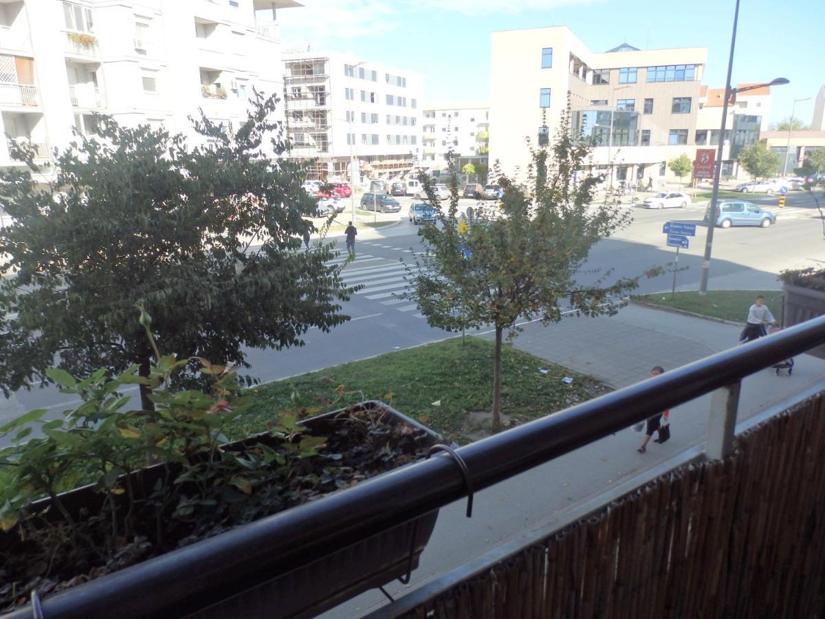 Apartment Erika 2 Novi Sad Exteriör bild